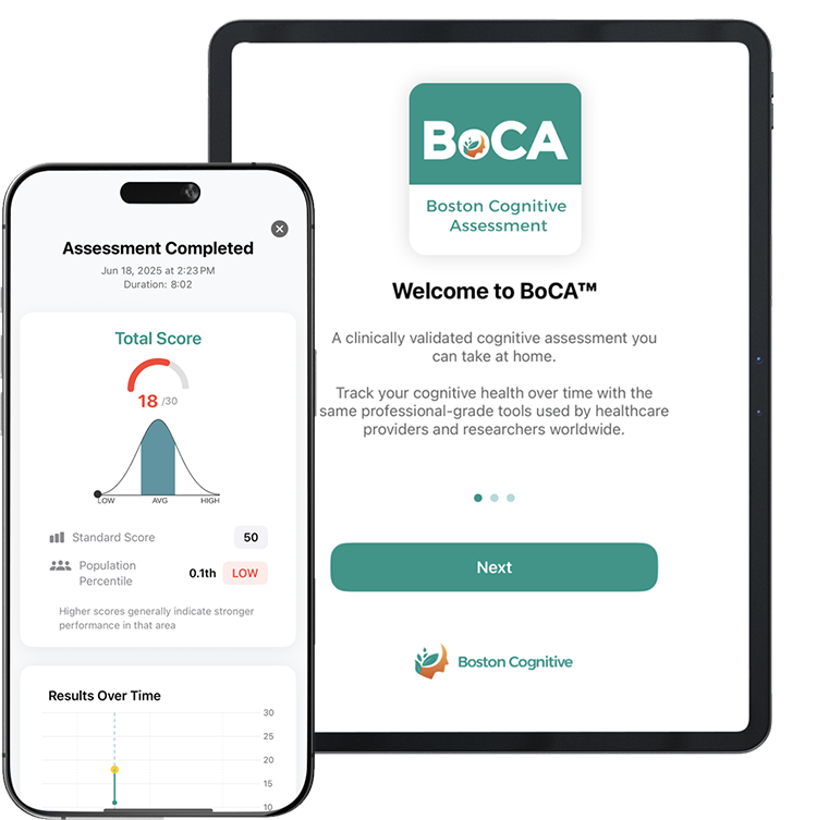 BoCA Assessment Interface